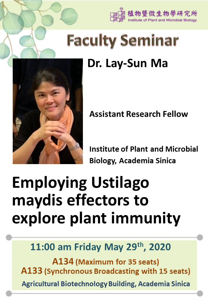 20200529_Lay-Sun Ma.png
