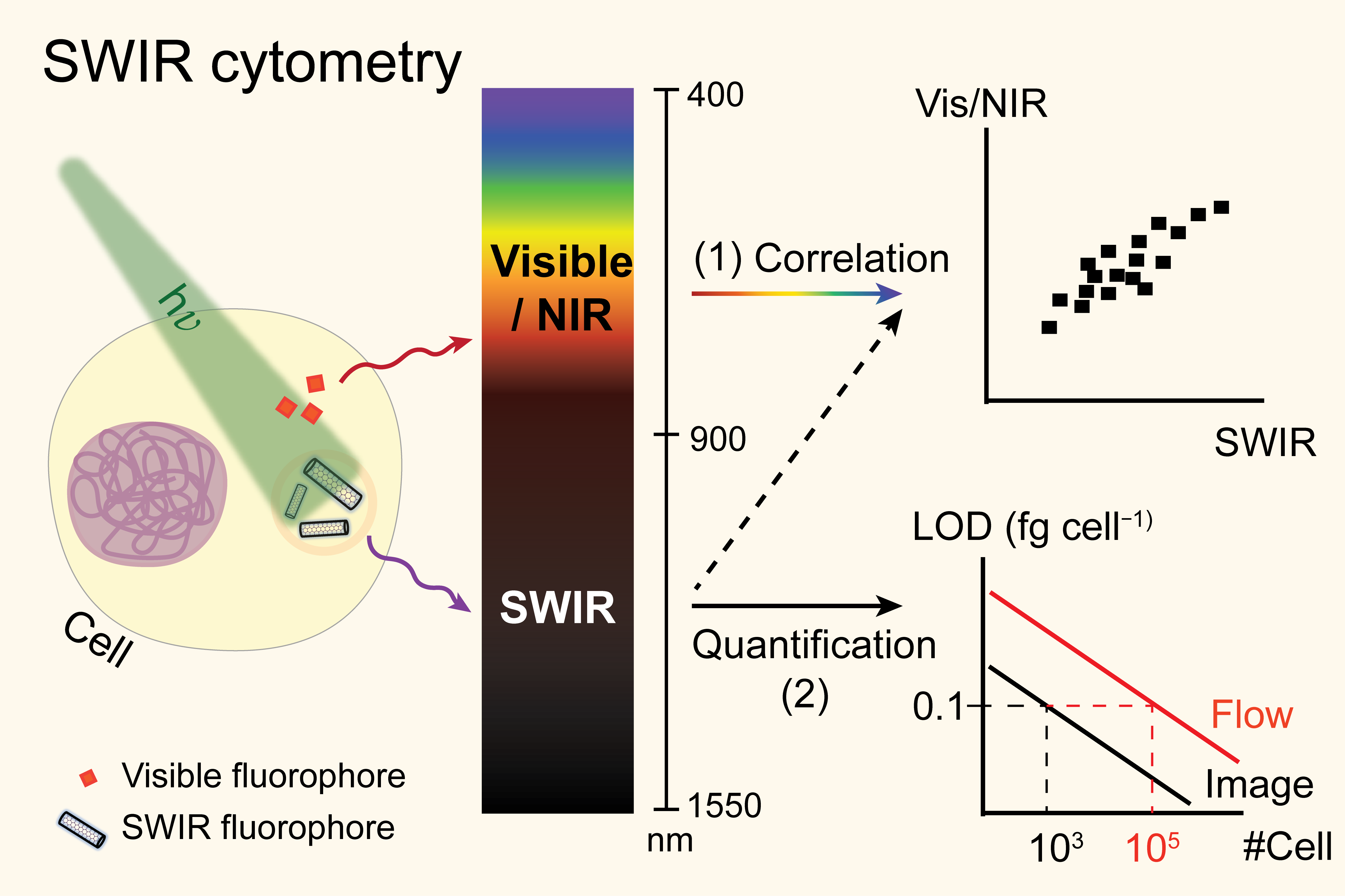 Short-wave infrared fluorescence cytometry: The next-generation analytical technology for fluorescently labelled cells