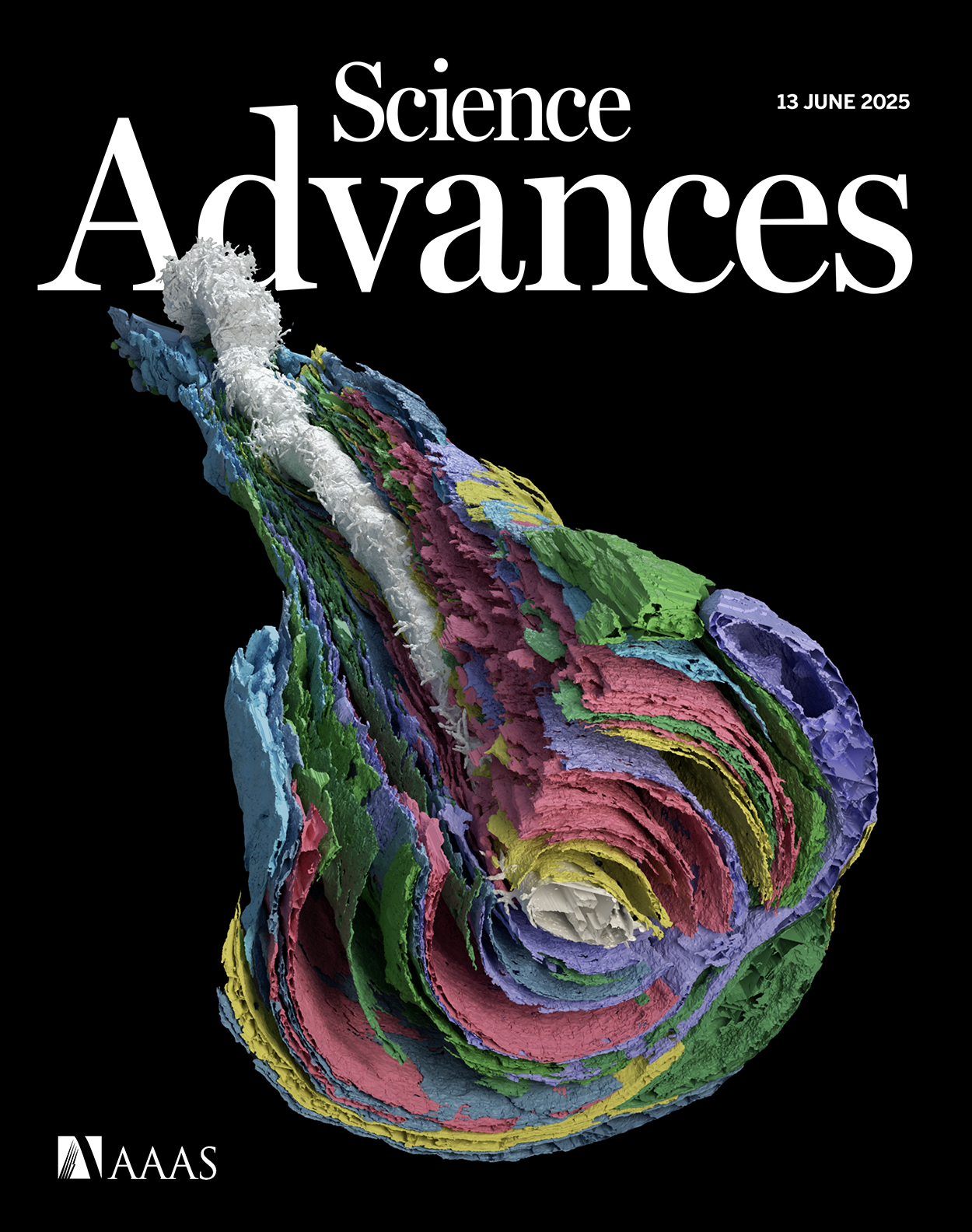 Schwann Cells Actively Regulate Touch Sensitivity: Revealing a New Mechanism in Deep-Skin Vibration Sensors