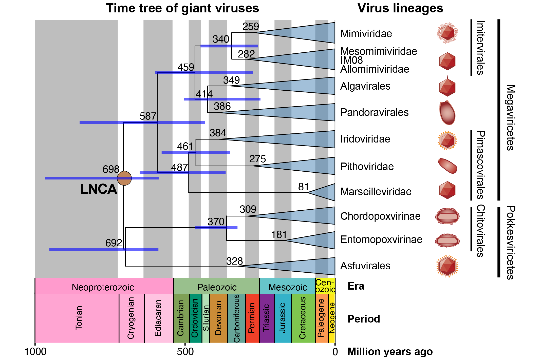 New dating method reveals the ancient evolution of giant viruses