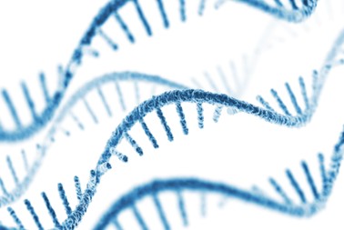 Revealing Sequence Determinants of RNA Degradation from Human Disease-relevant Mutations