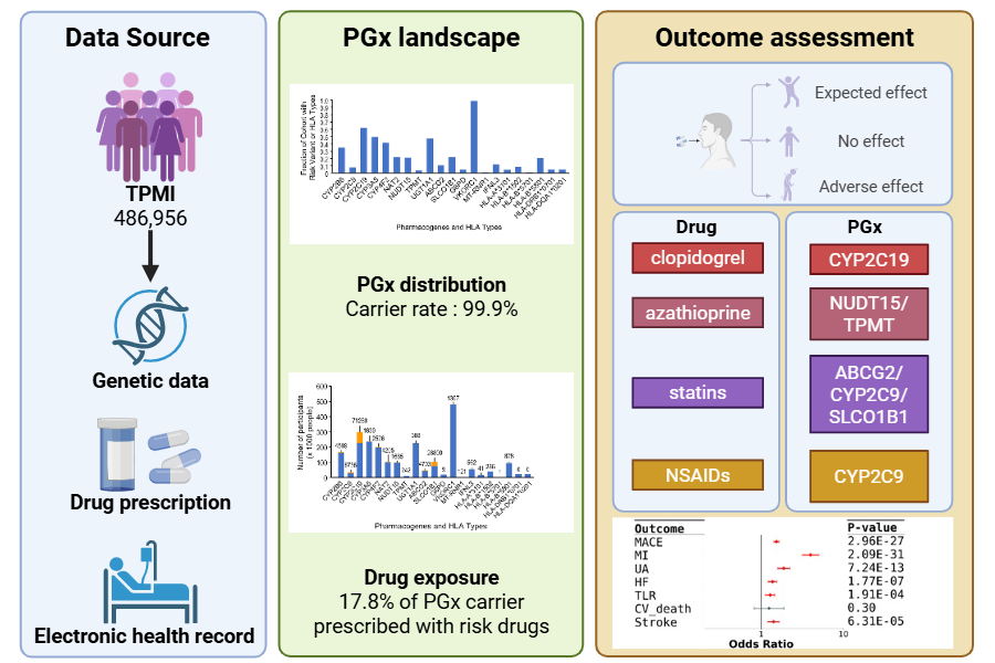 Challenges facing pharmacogenetics in precision medicine