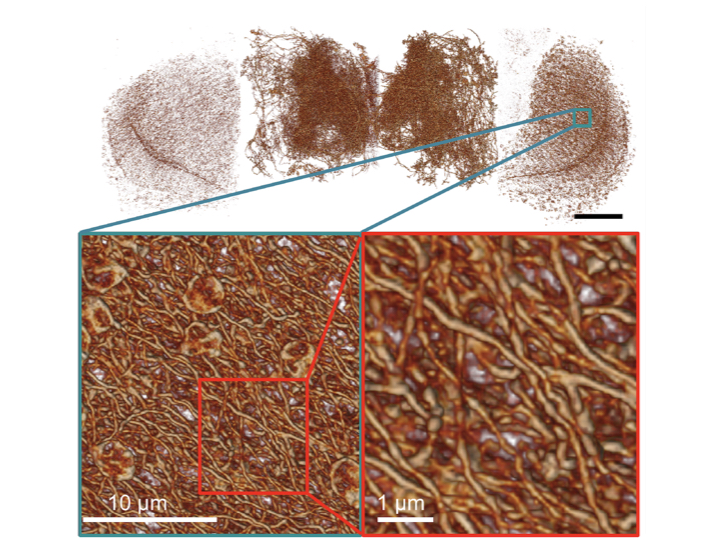 Academia Sinica-Three-dimensional optical super-resolution microscopy ...