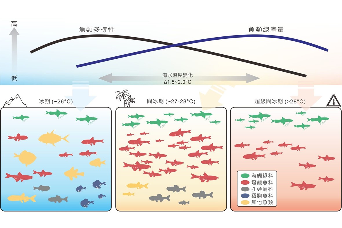 深海沉積物揭示魚類生態與海水溫度具有密切關係