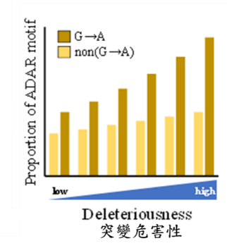 A-to-G RNA編輯機制的辨識序列（ADAR motif）出現率和突變危害程度的比較。