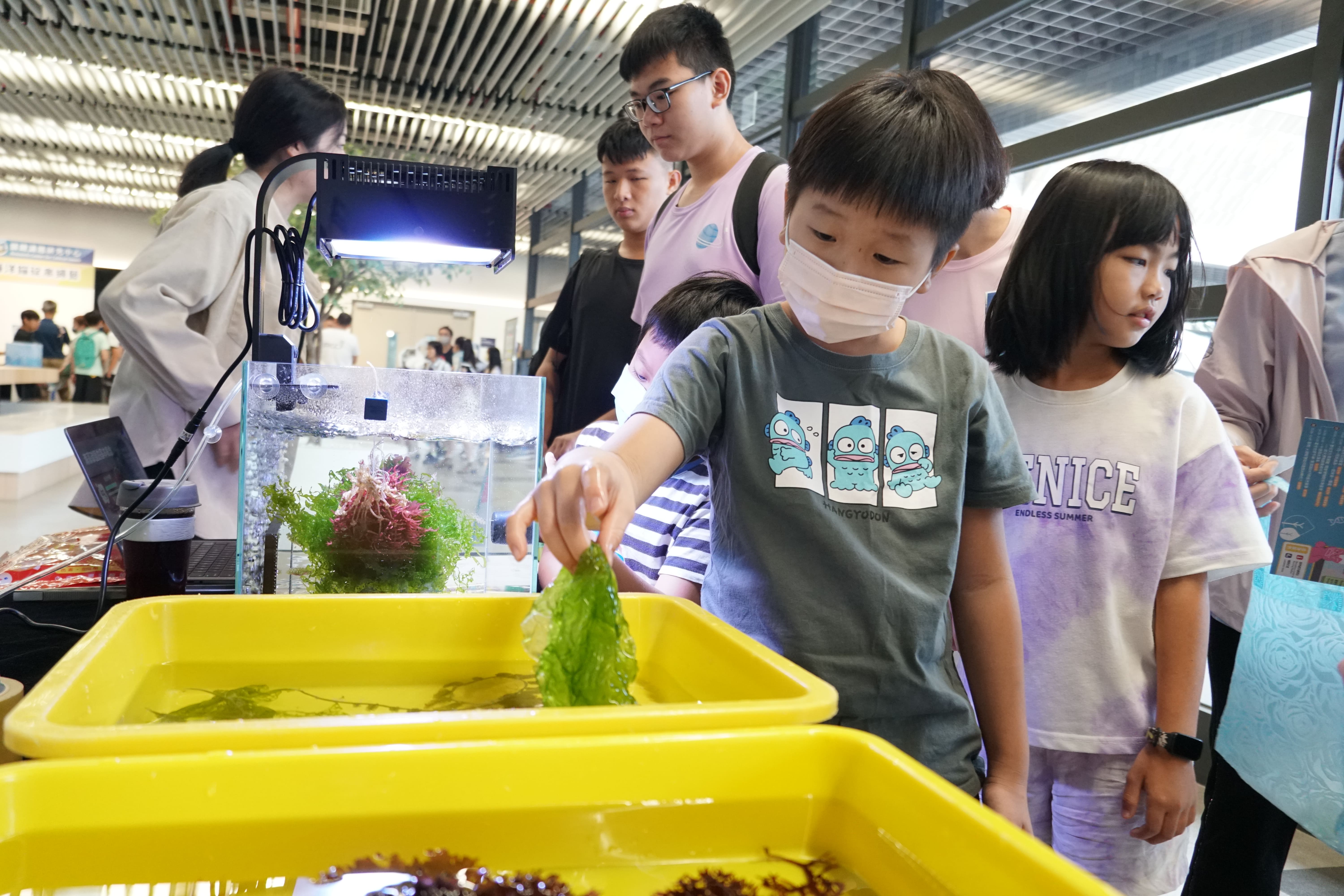 介紹臺灣原生種海藻。（圖片來源：中央研究院）