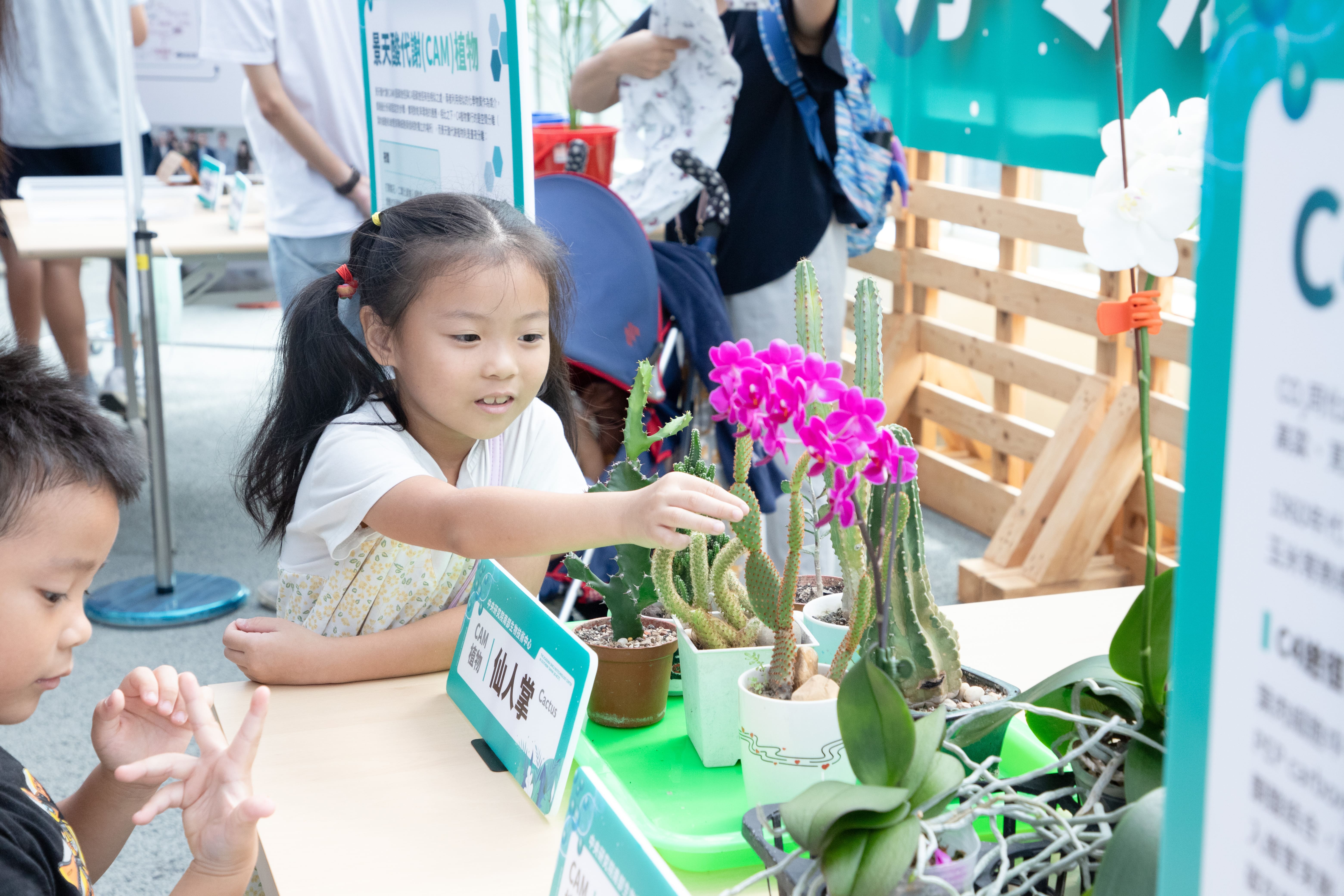 小朋友觸摸利用生物科技種植的仙人掌。（圖片來源：中央研究院）