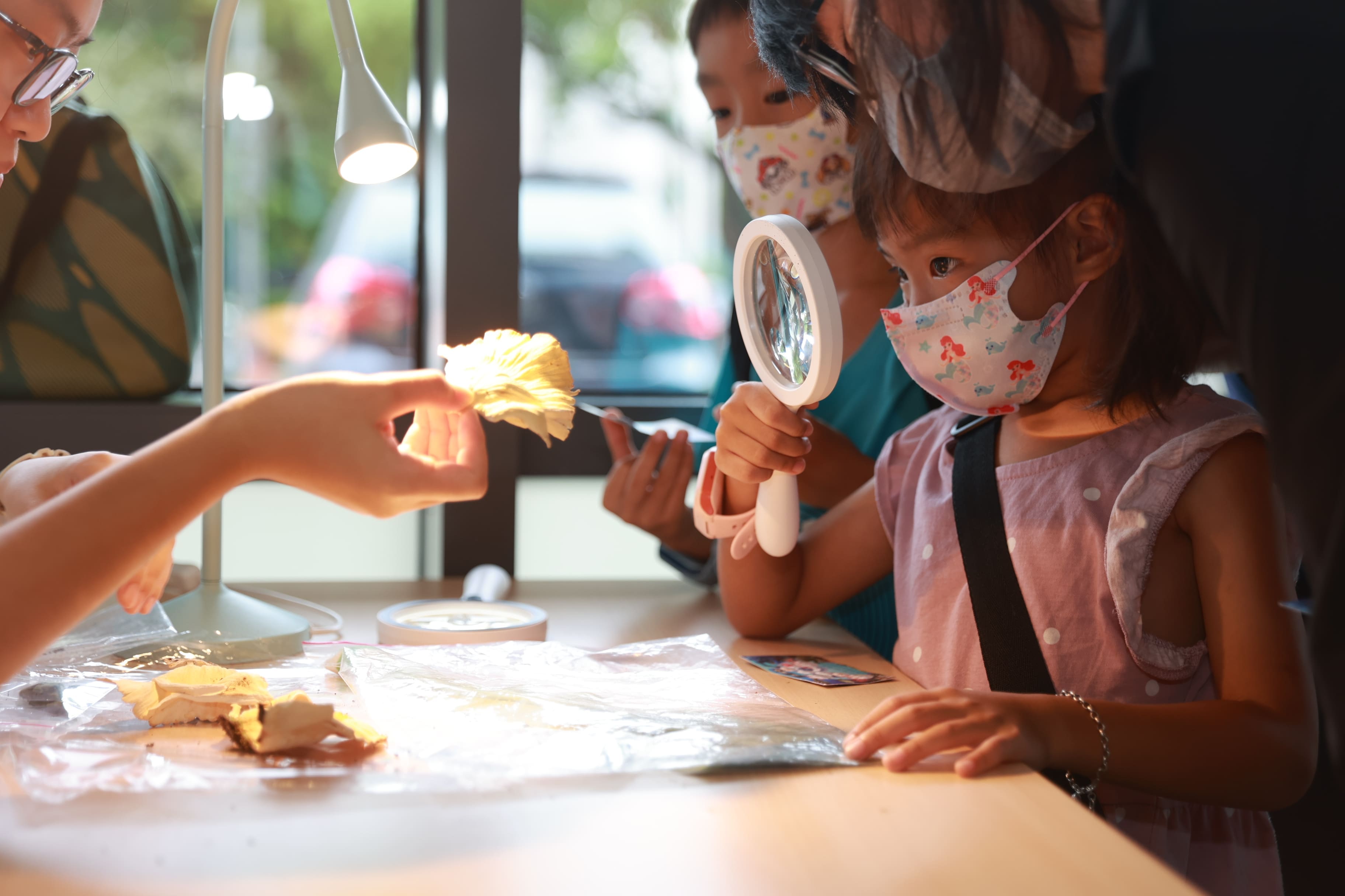 生多中心「菇的LIFE」活動，孩童近距離觀察菇類。（圖片來源：中央研究院）